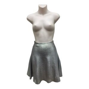 Zara Silver Metallic High Waist Skater Skirt Sz M Party Holiday Shiny Boho